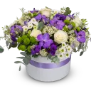 Violet